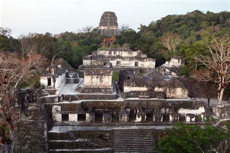  「ティカール都市国家の崩壊」：古典期マヤ文明の終焉と古代メソアメリカの新たな時代へ